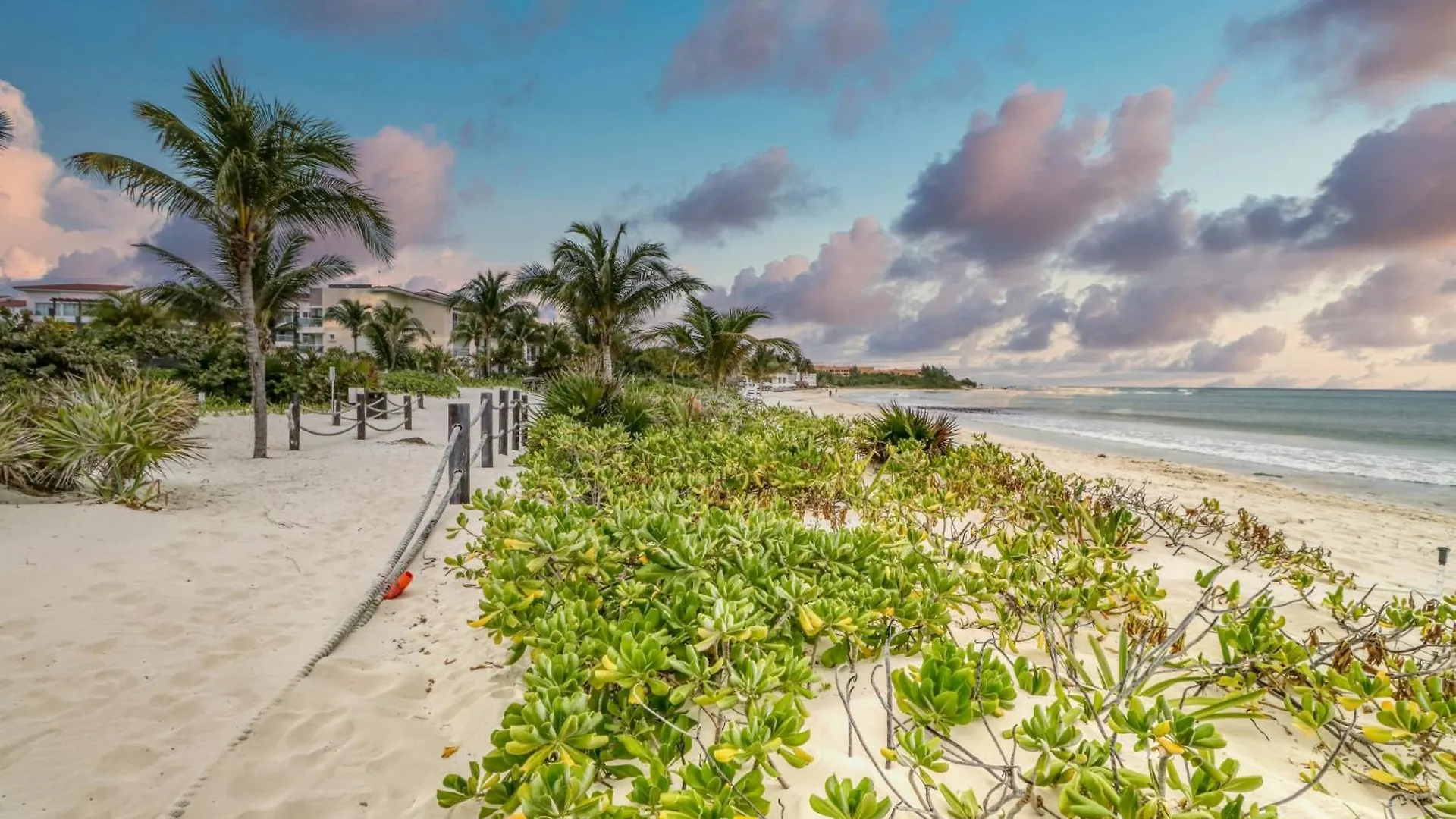 Casa Altamar Penthouse Oceanfront 123 Norte @ Mareazul Beachfront Apartment Playa del Carmen